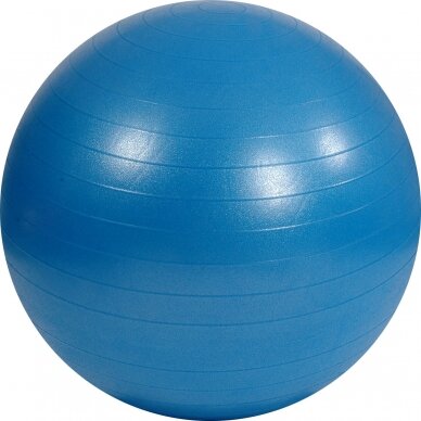 Mambo Max AB Gym Ball 11