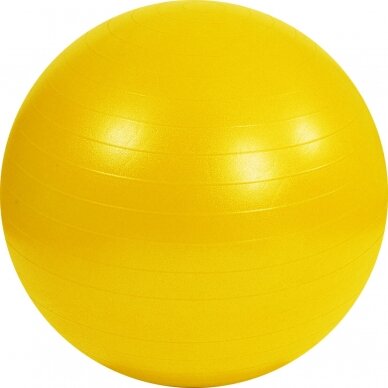 Mambo Max AB Gym Ball 2