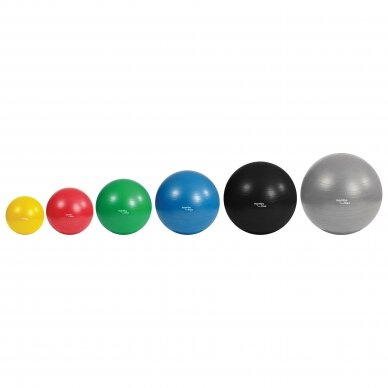 Mambo Max AB Gym Ball 1