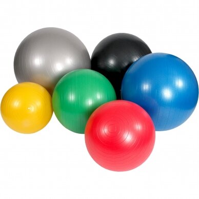 Mambo Max AB Gym Ball