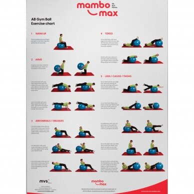 Mambo Max AB Gym Ball 9