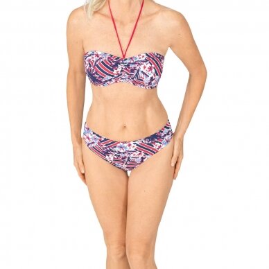 Summer Day Two-Piece Bikini Bandeau Top 1