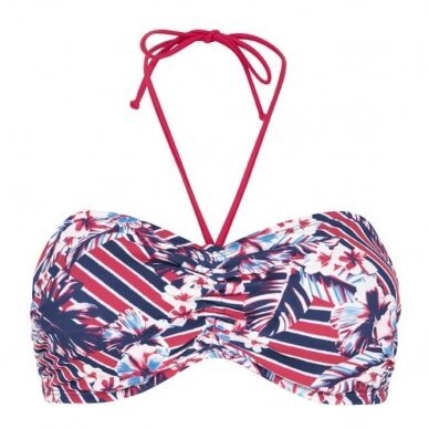 Summer Day Two-Piece Bikini Bandeau Top 9